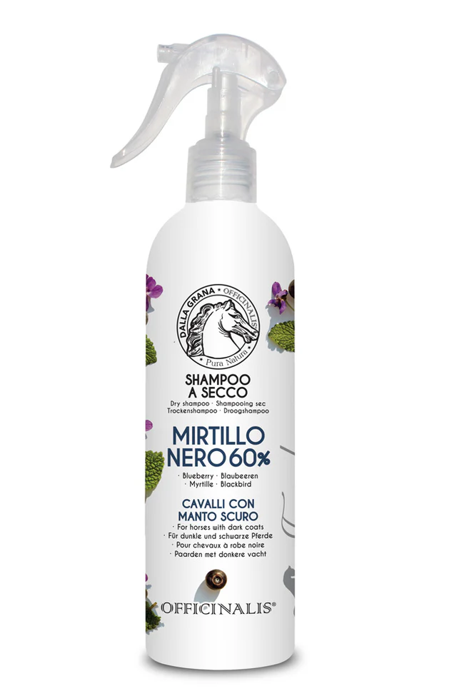 Shampoo Secco Mirtillo Nero